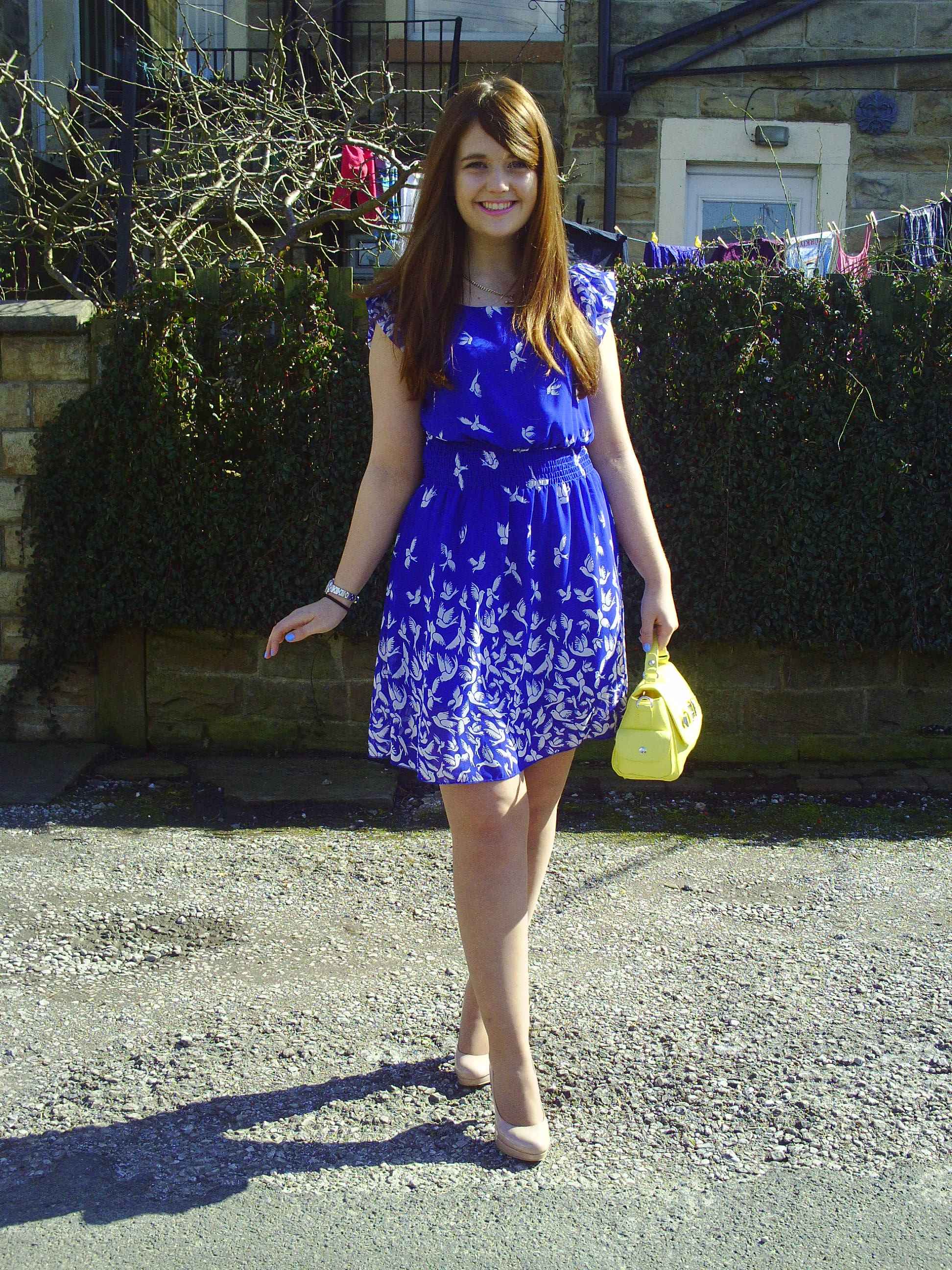outfit of the day blue bird print new look dress